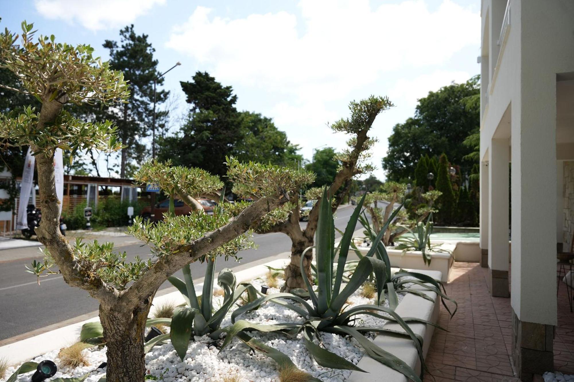 Paradise Bay Hotel 3*